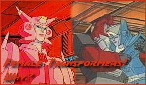 Female Transformers! Why?